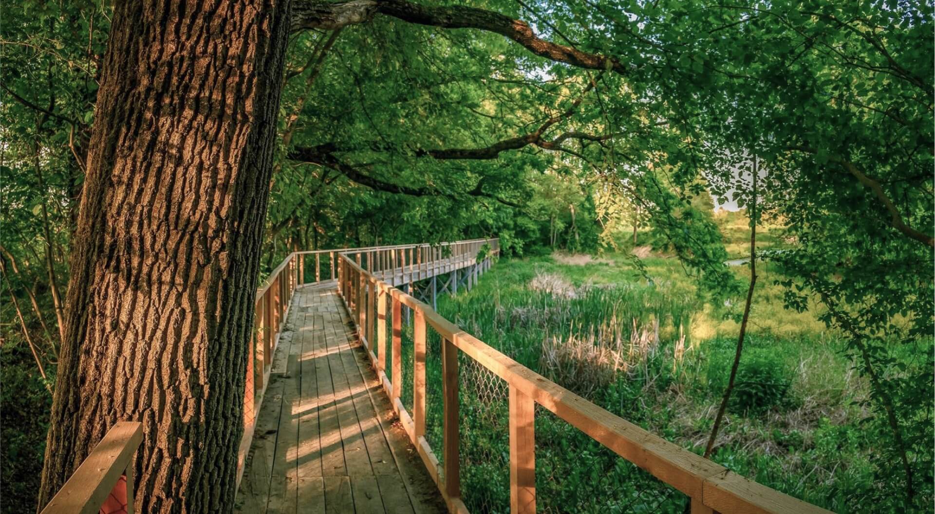 Turističke zajednice Grada Čazme